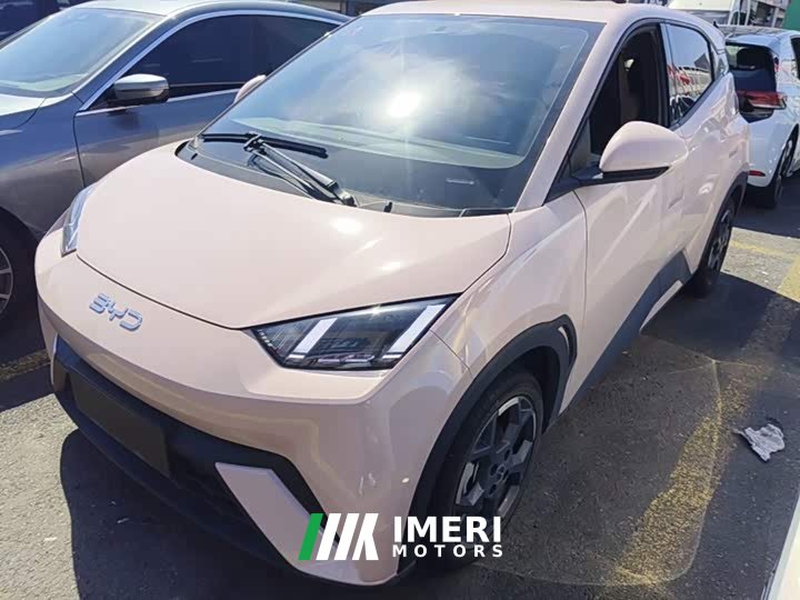 BYD Seagull 2025 305km Freedom Edition - ავტომობილი ჩინეთიდან