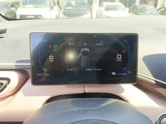 BYD Seagull 2025 305km Freedom Edition - ფოტო 12