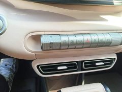 BYD Seagull 2025 305km Freedom Edition - ფოტო 14