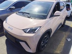 BYD Seagull 2025 305km Freedom Edition - ფოტო 2