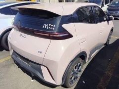 BYD Seagull 2025 305km Freedom Edition - ფოტო 7