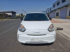 SAIC Clever 311km Vitality Pop Edition - ფოტო 3
