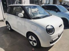 Changan Lumin Treasure Edition 205km Cool Love White CATL - ფოტო 4