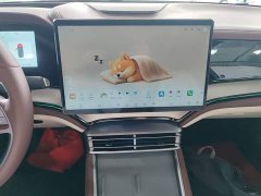 BYD Dolphin 07 DM-i 2026 DM-i 1.5T 230km Flagship - ფოტო 13