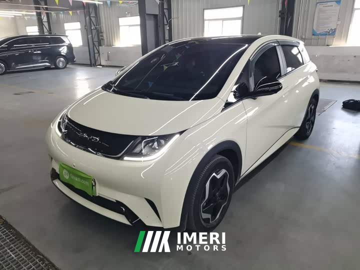 BYD Dolphin 405km Fashion Edition - ავტომობილი ჩინეთიდან