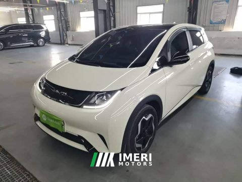 2023 BYD Dolphin 405km Fashion Edition - ავტომობილი ჩინეთიდან