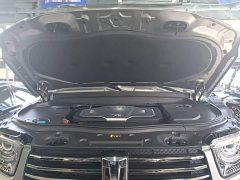Tank 700 New Energy 2024 Hi4-T Extreme Edition - ფოტო 20