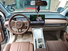 Wuling Bingguo S 325km Deluxe Edition - ფოტო 10