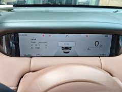 Wuling Bingguo S 325km Deluxe Edition - ფოტო 12