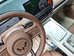 Wuling Bingguo S 325km Deluxe Edition - ფოტო 14