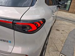 Wuling Bingguo S 325km Deluxe Edition - ფოტო 8