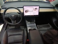 Tesla Model 3 Standard Range RWD Upgrade - ფოტო 10
