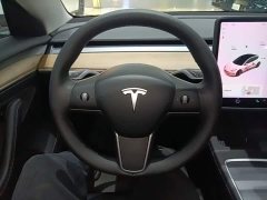 Tesla Model 3 Standard Range RWD Upgrade - ფოტო 11