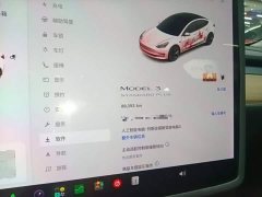 Tesla Model 3 Standard Range RWD Upgrade - ფოტო 12