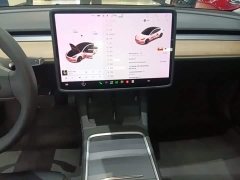 Tesla Model 3 Standard Range RWD Upgrade - ფოტო 13