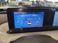 Wuling Binguo 333km Joy Edition - ფოტო 12