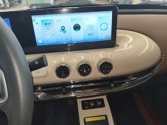 Wuling Binguo 333km Joy Edition - ფოტო 13