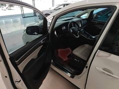 GAC Aion M8 Master Series 390T Premium Edition - ფოტო 16