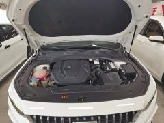 Geely Xingrui 2.0T Diesel Luxury - ფოტო 20