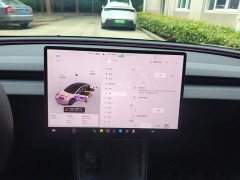 Tesla Model 3 Rear-Wheel Drive - ფოტო 13