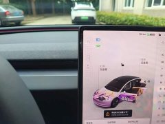 Tesla Model 3 Rear-Wheel Drive - ფოტო 14