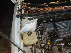 BYD Qin PLUS Champion Edition DM-i 55KM Leading - ფოტო 20