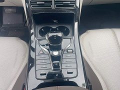 BYD Qin PLUS Champion Edition DM-i 55KM Leading - ფოტო 7