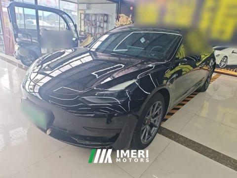 2022 Tesla Model 3 Rear-Wheel Drive - ავტომობილი ჩინეთიდან