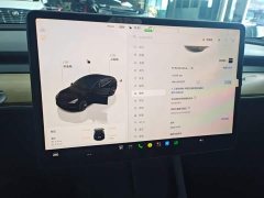 Tesla Model 3 Rear-Wheel Drive - ფოტო 8