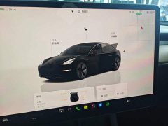 Tesla Model 3 Rear-Wheel Drive - ფოტო 9