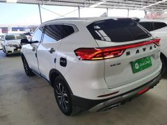 Haval H6 National Trend Edition 1.5T Automatic Urban Version - ფოტო 5