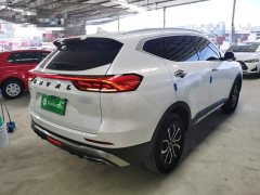 Haval H6 National Trend Edition 1.5T Automatic Urban Version - ფოტო 7