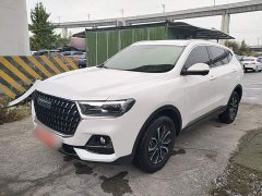 Haval H6 2023 National Trend Edition 1.5T Automatic Urban Version - ფოტო 1