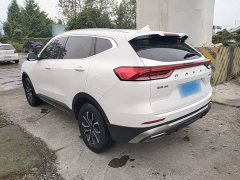 Haval H6 2023 National Trend Edition 1.5T Automatic Urban Version - ფოტო 5