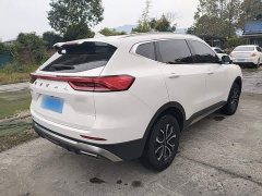 Haval H6 2023 National Trend Edition 1.5T Automatic Urban Version - ფოტო 7