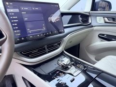 Denza D9 2022 DM-i 970 AWD Flagship - ფოტო 14