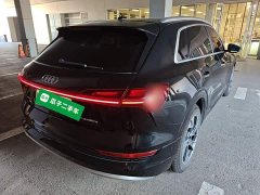 Audi e-tron (Imported) 2019 55 quattro Technik - ფოტო 5