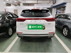 Haval H6 National Trend Edition 1.5T Automatic Champion Version - ფოტო 6