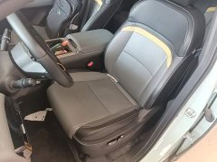 GAC AION Y 70 Smart Leader Edition LFP - ფოტო 15