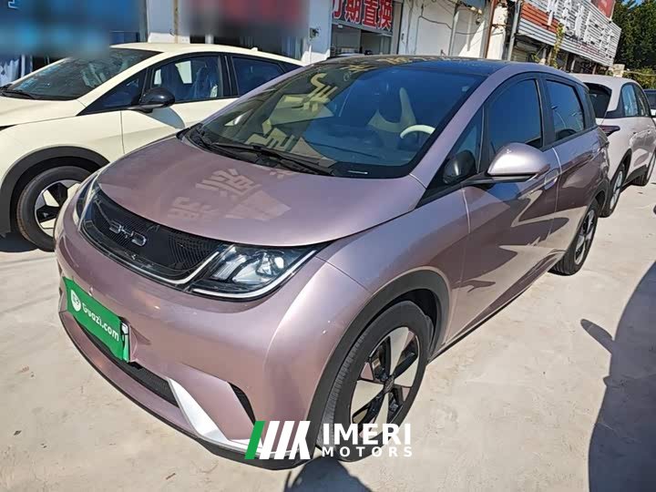 BYD Dolphin 420km Fashion Edition - ავტომობილი ჩინეთიდან
