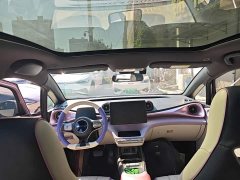 BYD Dolphin 420km Fashion Edition - ფოტო 18