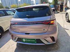 BYD Dolphin 420km Fashion Edition - ფოტო 6