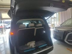 Denza BYD Denza D9 2024 EV 620 Premium Edition - ფოტო 15