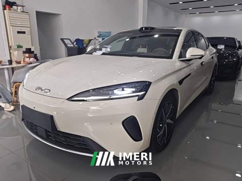 2025 BYD Dolphin 07 DM-i 2026 DM-i 1.5T 230km Flagship - ავტომობილი ჩინეთიდან