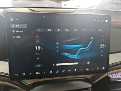 BYD Dolphin 07 DM-i 2026 DM-i 1.5T 230km Flagship - ფოტო 13
