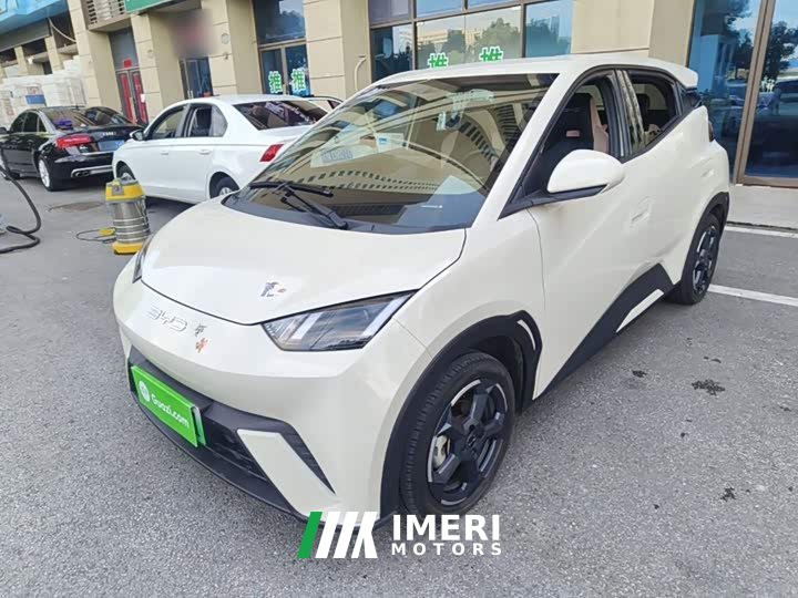 BYD Seagull Freedom Edition - ავტომობილი ჩინეთიდან