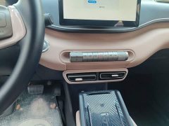 BYD Seagull Freedom Edition - ფოტო 14
