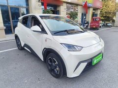 BYD Seagull Freedom Edition - ფოტო 4