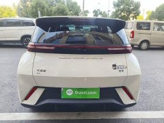 BYD Seagull Freedom Edition - ფოტო 6
