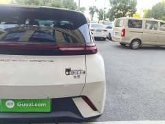BYD Seagull Freedom Edition - ფოტო 8